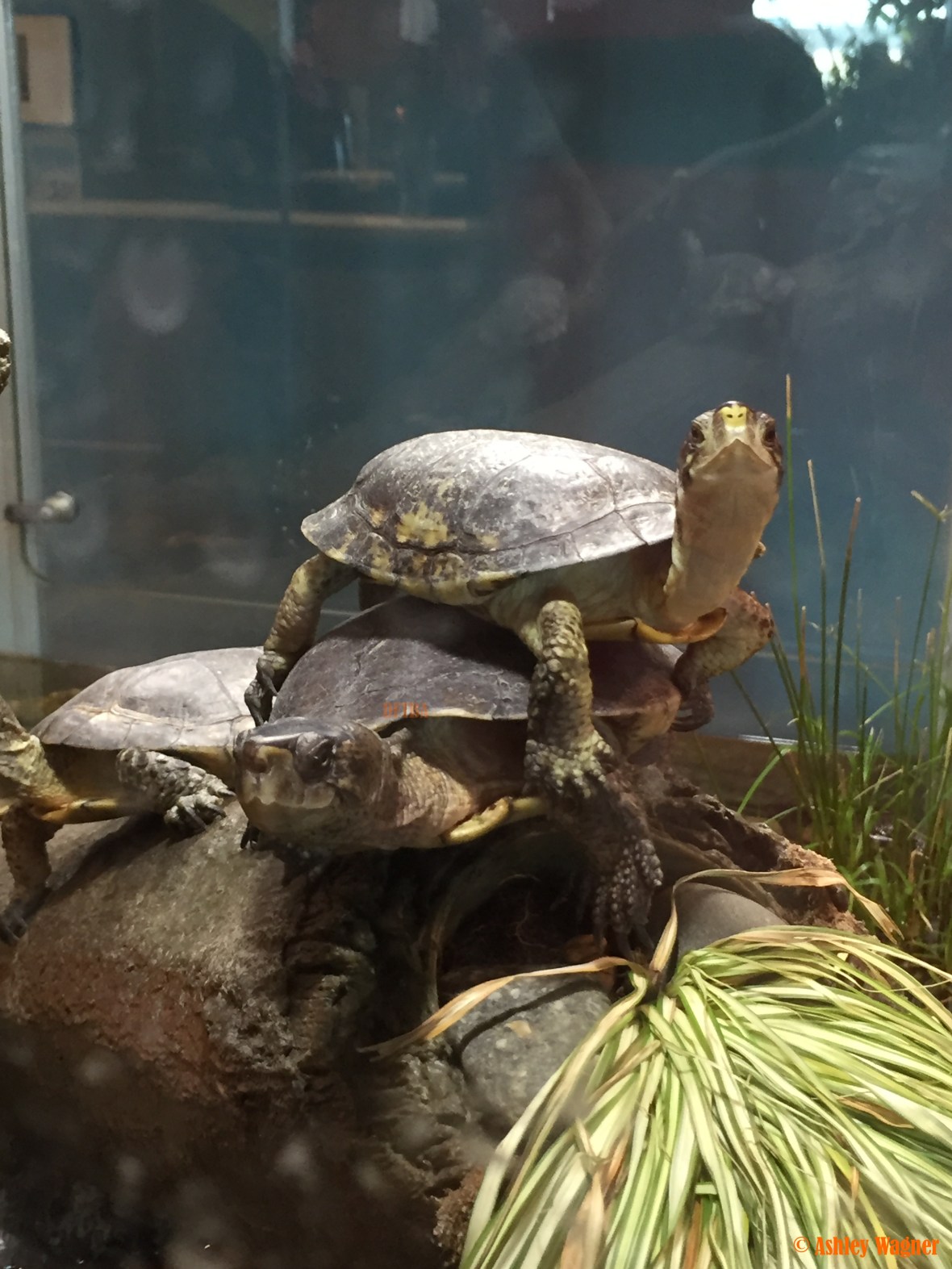 Photo Dec 26, 3 12 30 PM