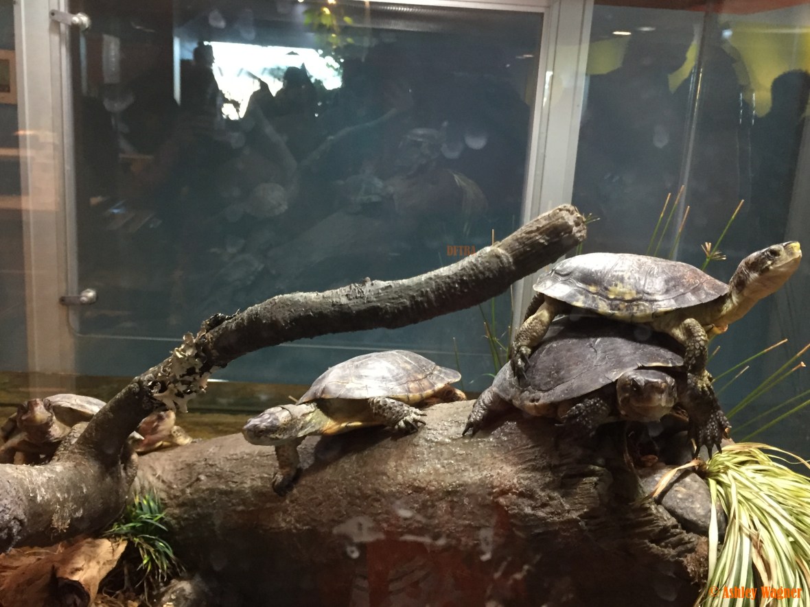 Photo Dec 26, 3 13 15 PM