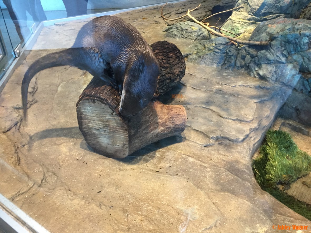 Photo Dec 26, 3 16 48 PM