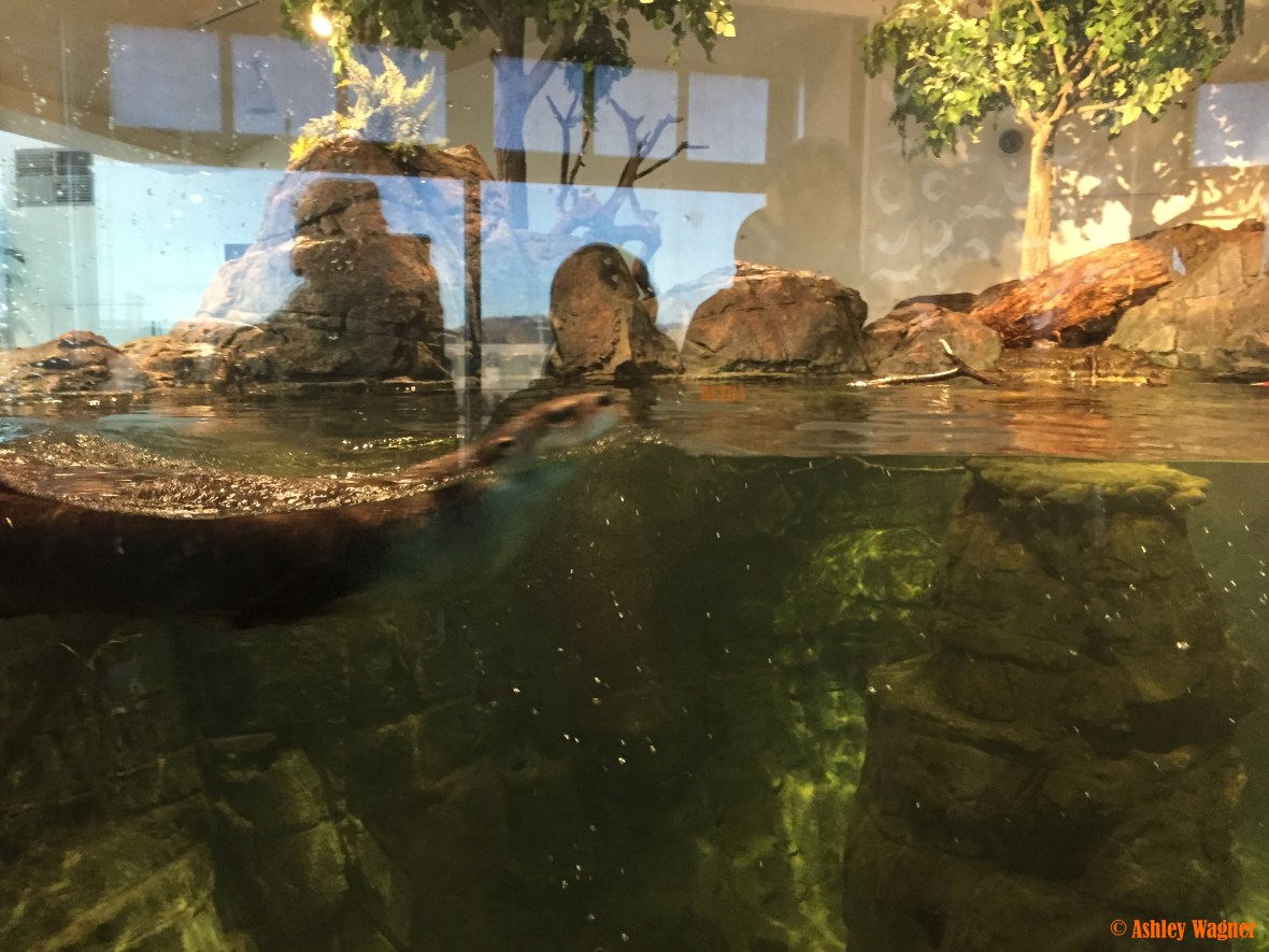 Photo Dec 26, 3 17 49 PM