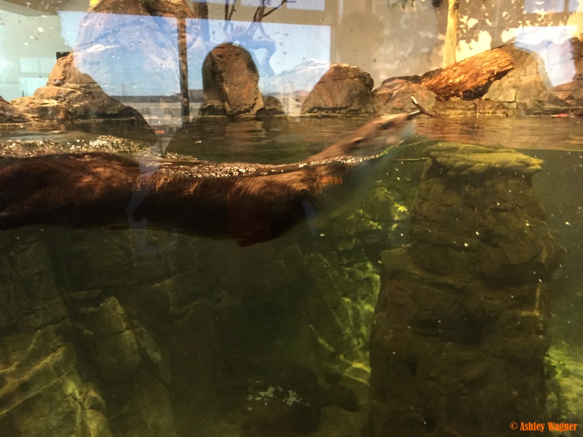 Photo Dec 26, 3 18 05 PM