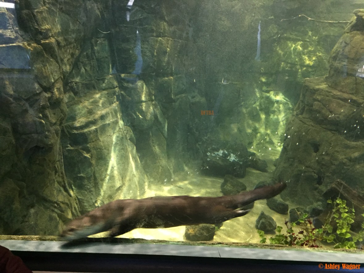 Photo Dec 26, 3 18 30 PM