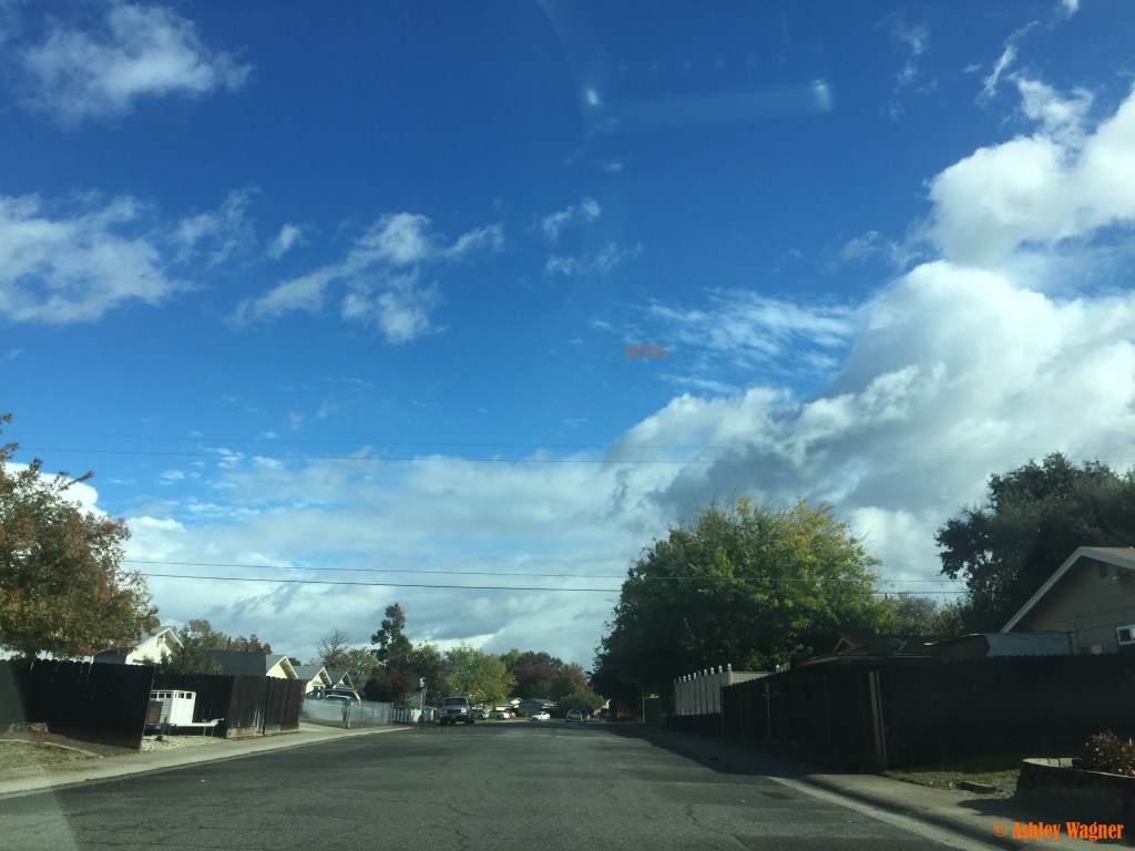 Photo Nov 15, 12 23 28 PM