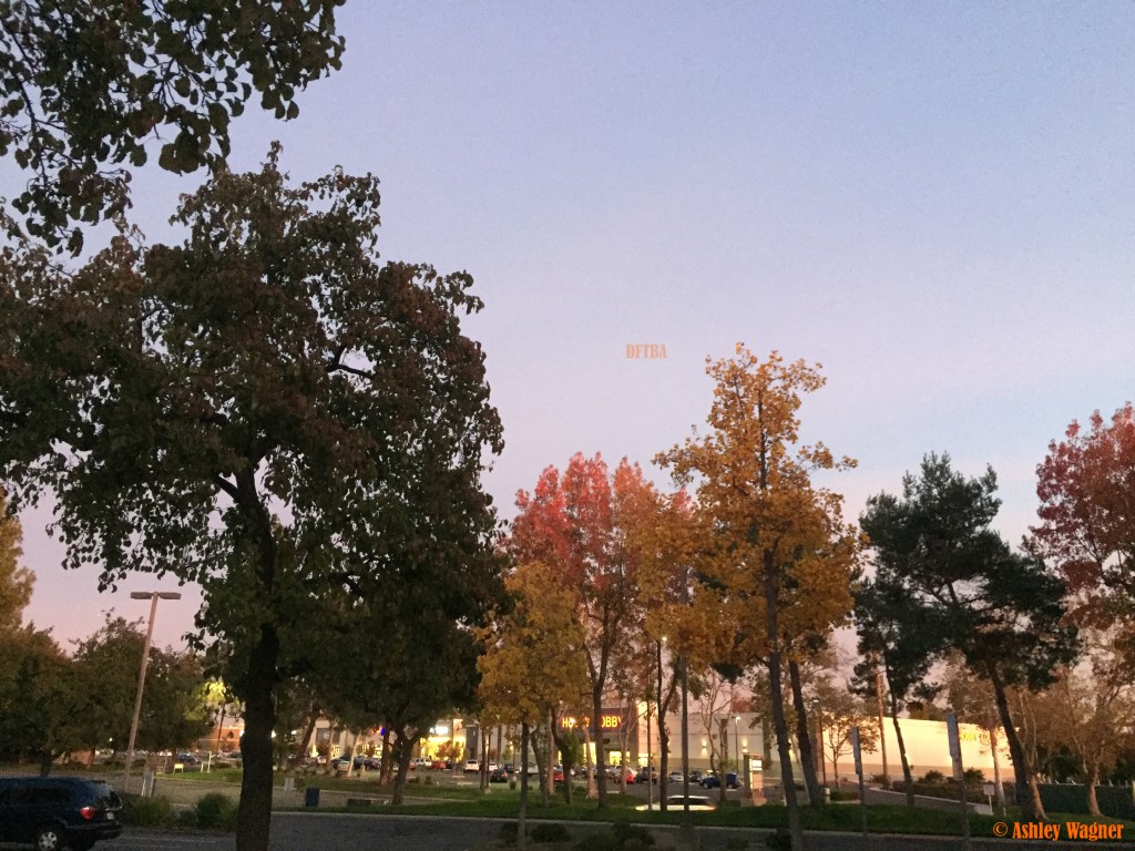 Photo Nov 17, 5 11 02 PM