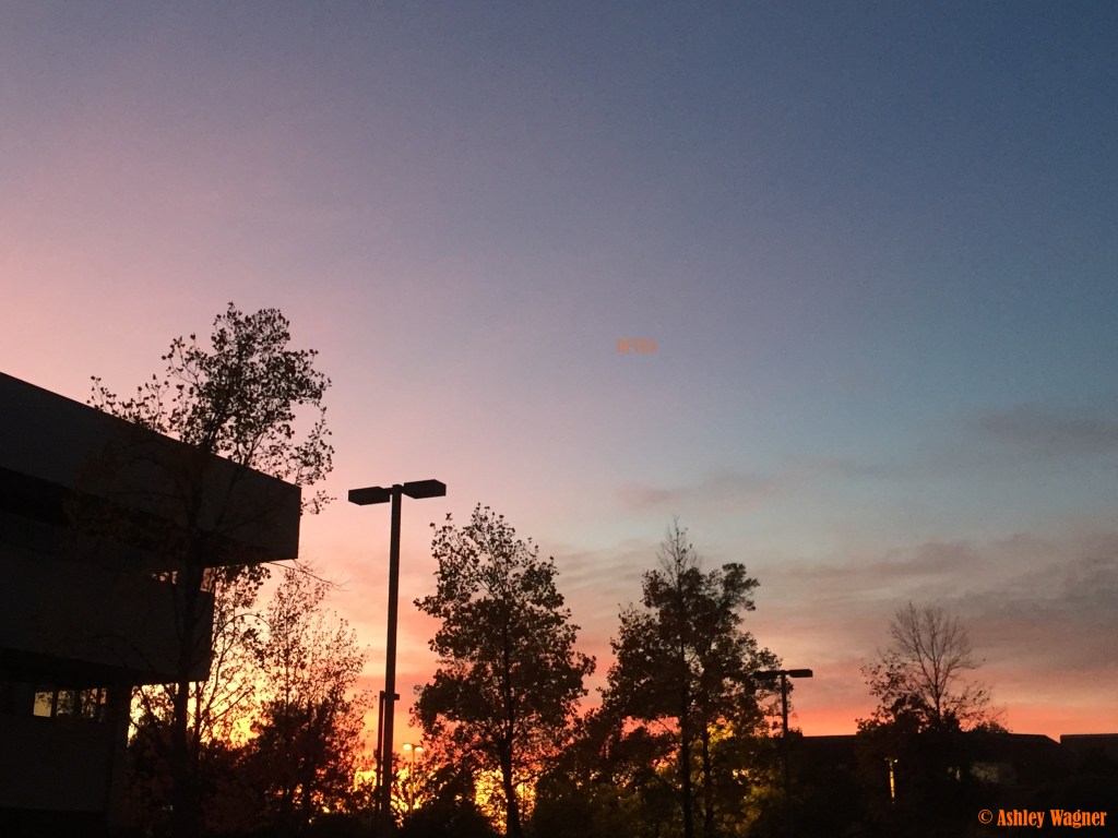 Photo Nov 17, 5 11 46 PM