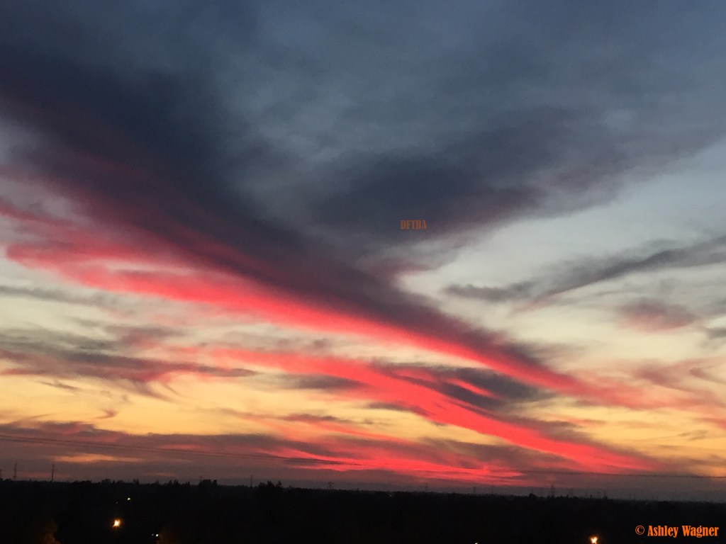 Photo Nov 21, 5 06 51 PM