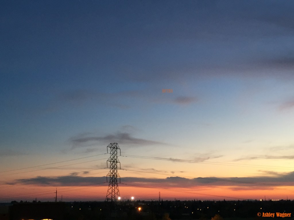 Photo Nov 21, 5 07 39 PM