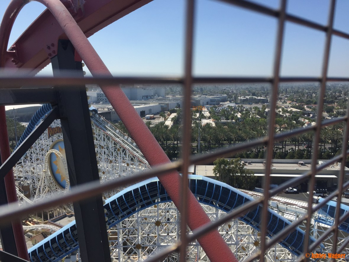 Photo Apr 02, 10 45 09 AM