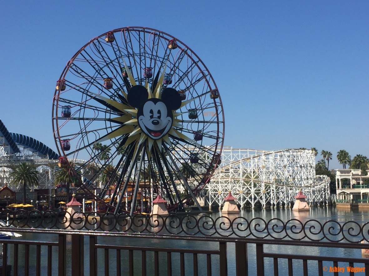 Photo Apr 02, 10 55 27 AM