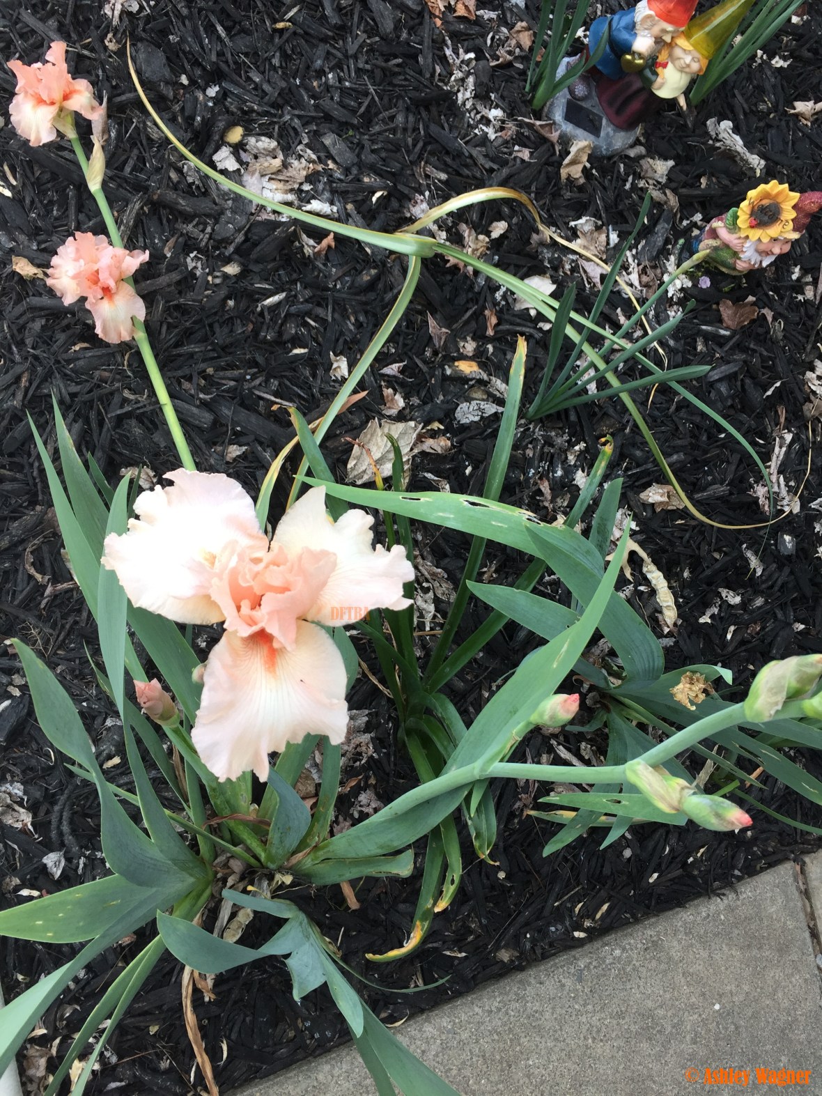 Photo Apr 07, 6 09 22 PM