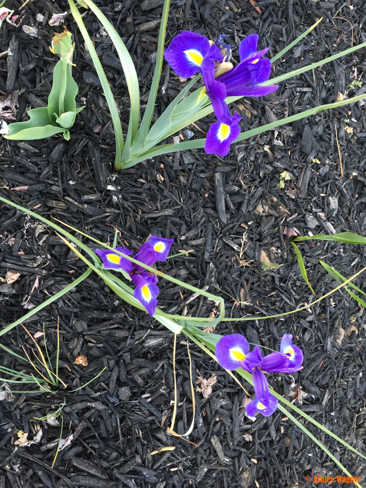 Photo Apr 07, 7 25 25 AM