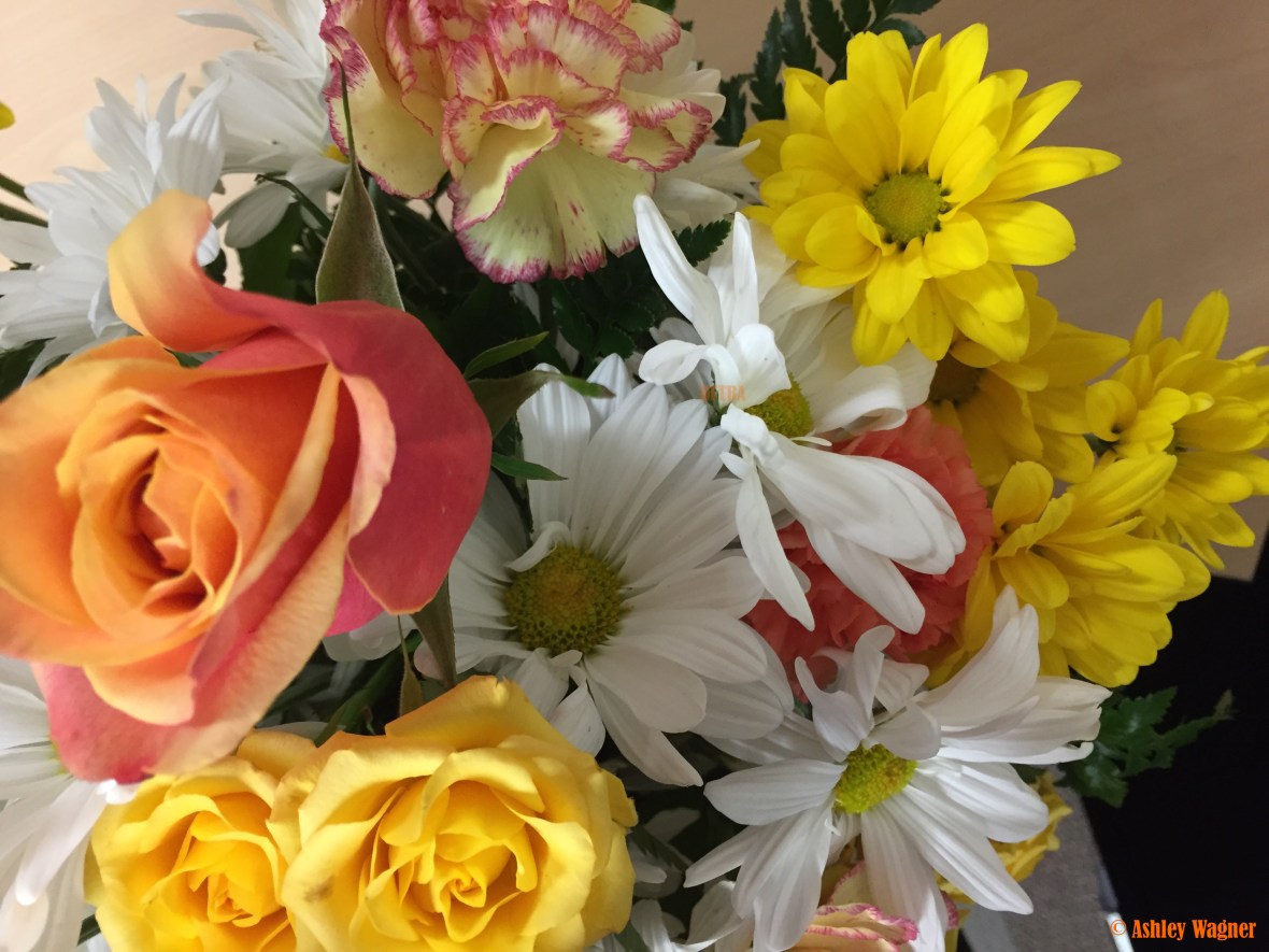 Photo Apr 27, 12 12 36 PM