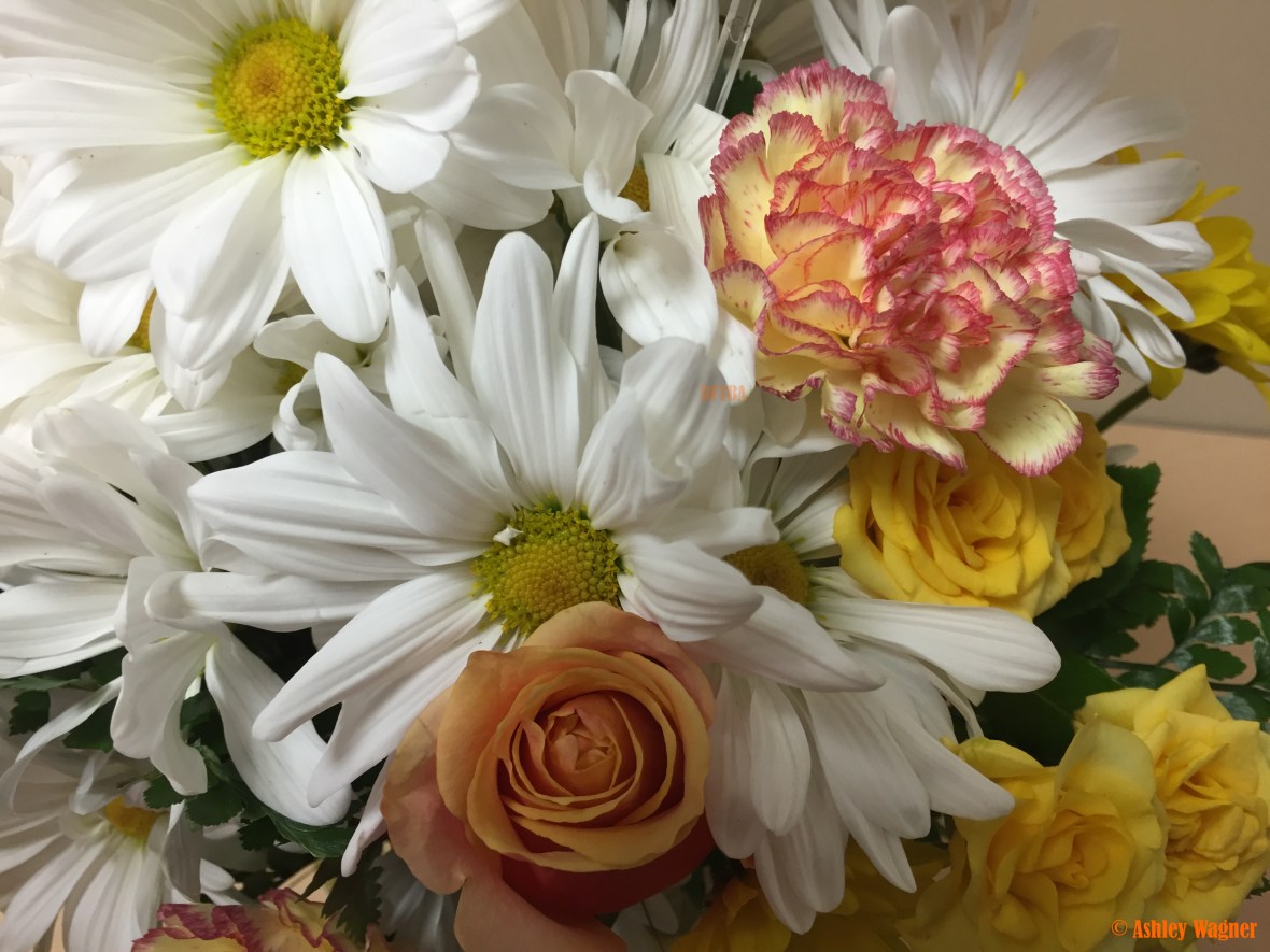 Photo Apr 27, 12 12 40 PM