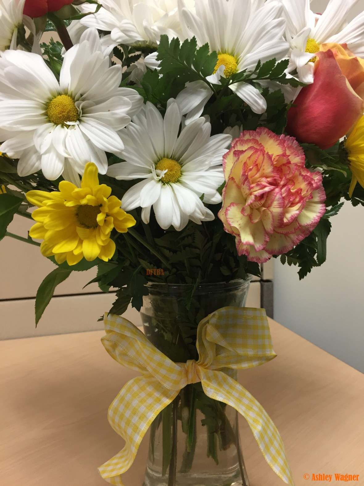 Photo Apr 27, 12 12 54 PM