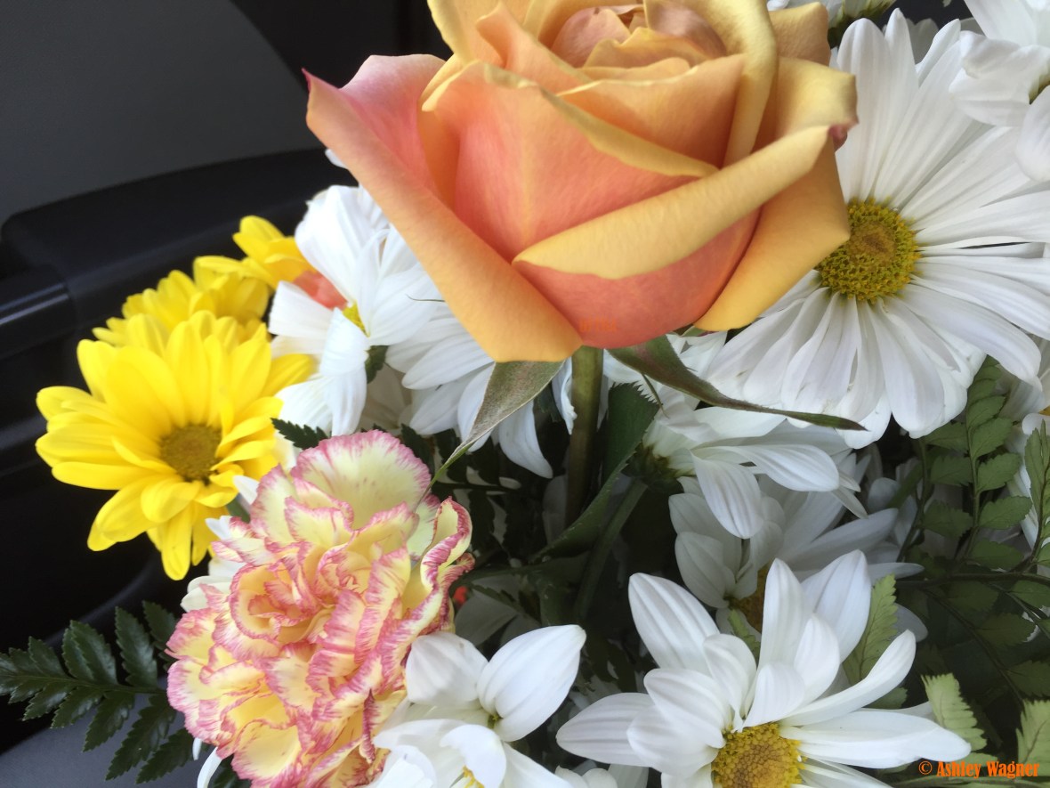 Photo Apr 29, 4 27 16 PM