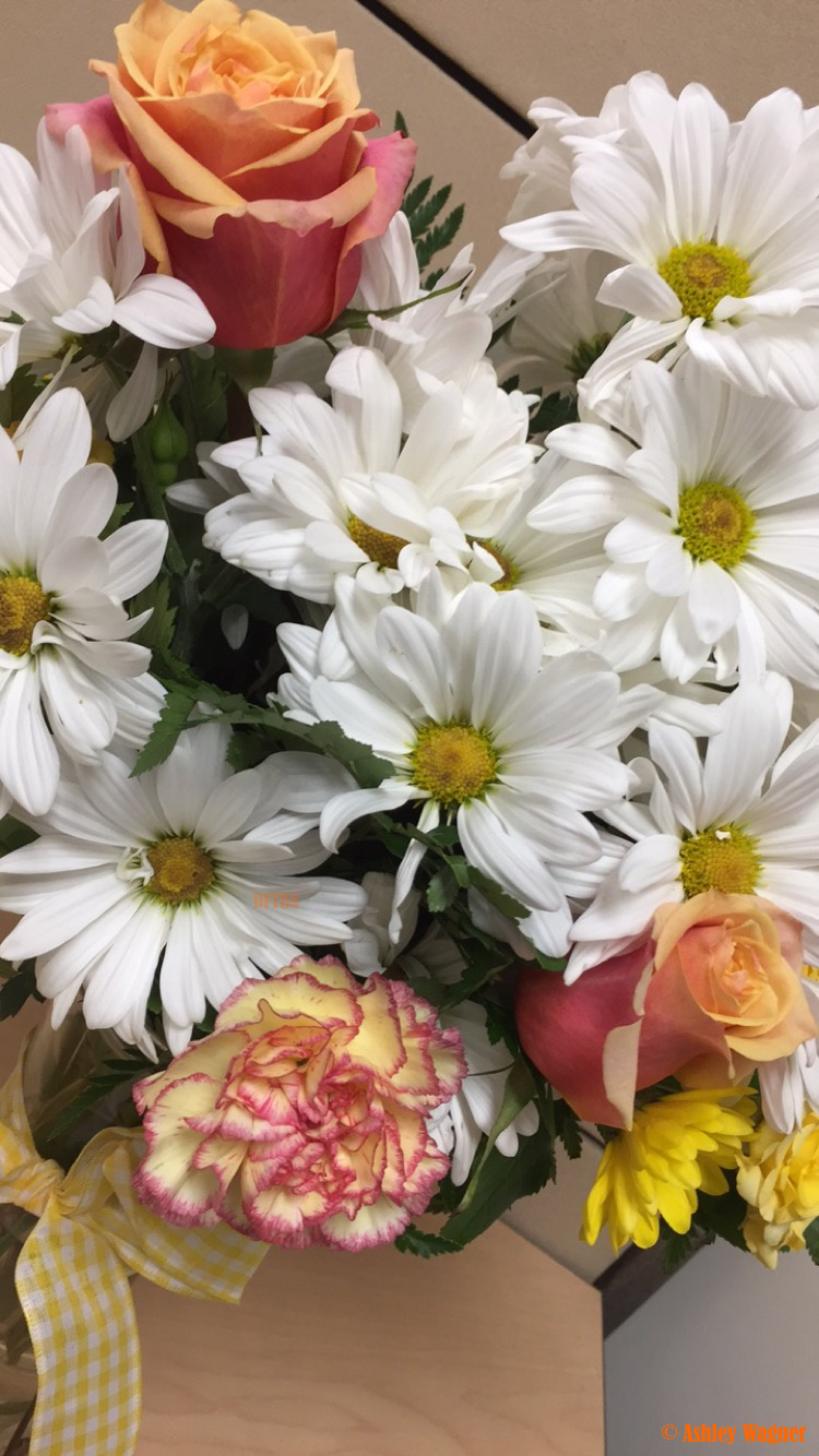 Photo Apr 29, 8 00 47 AM