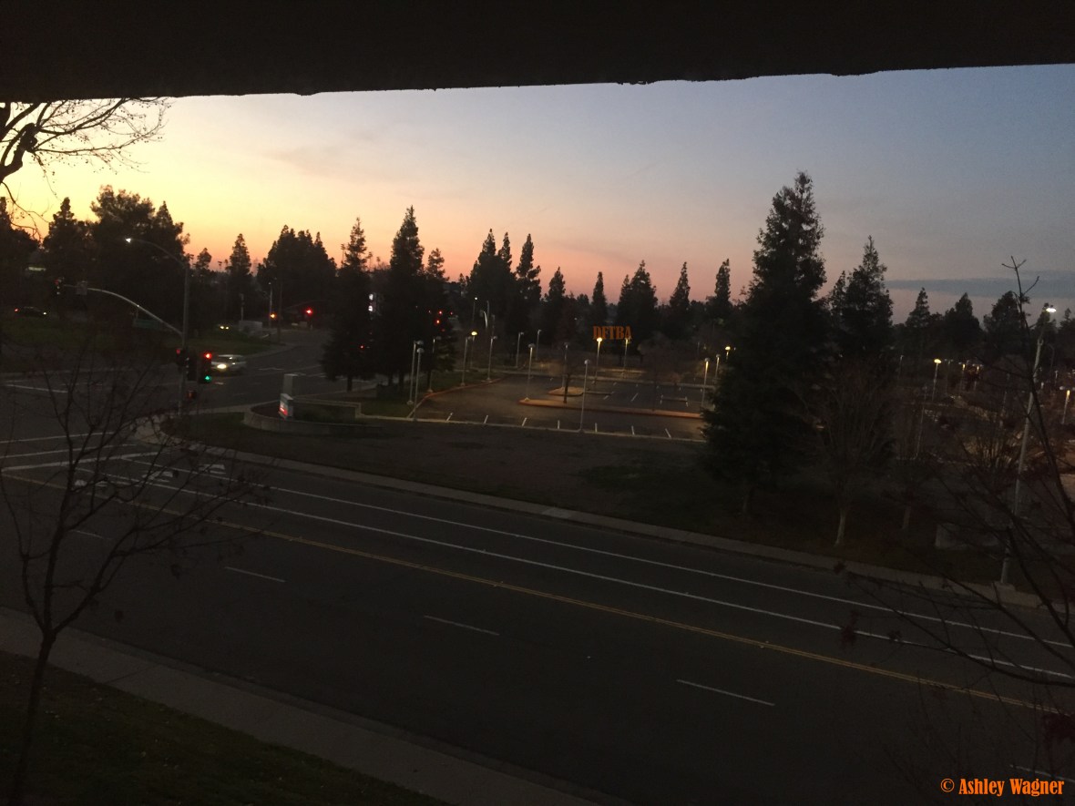 Photo Dec 17, 6 57 40 AM