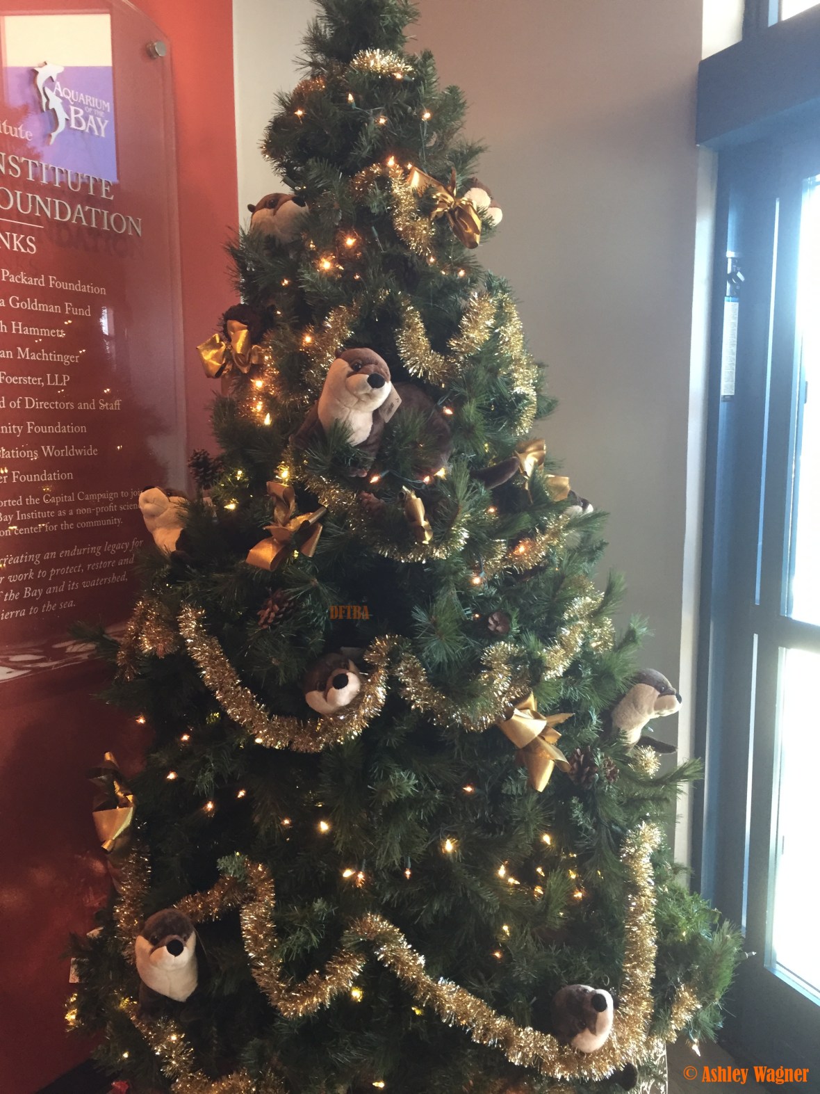 Photo Dec 26, 2 36 40 PM