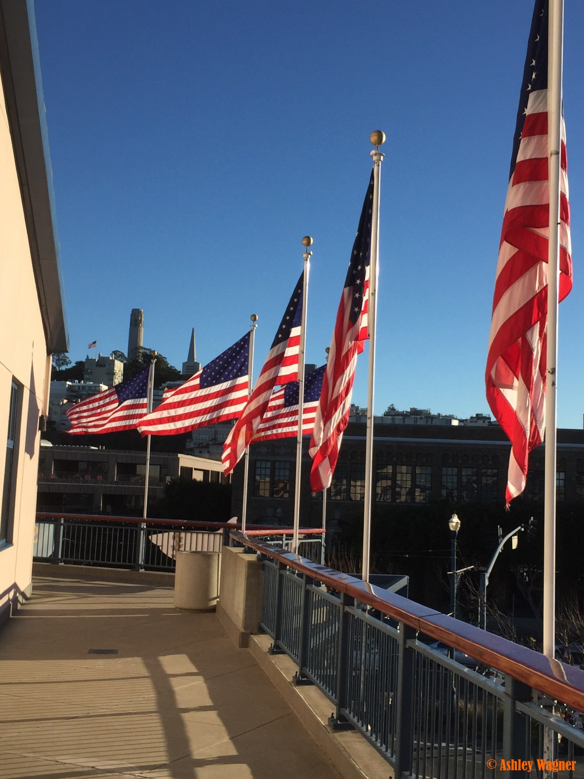 Photo Dec 26, 3 30 26 PM