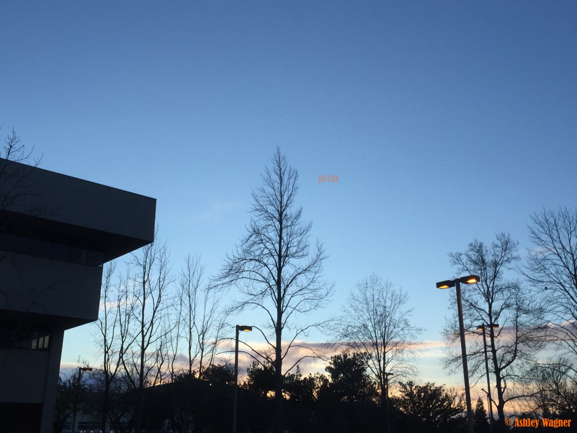 Photo Feb 01, 5 15 19 PM