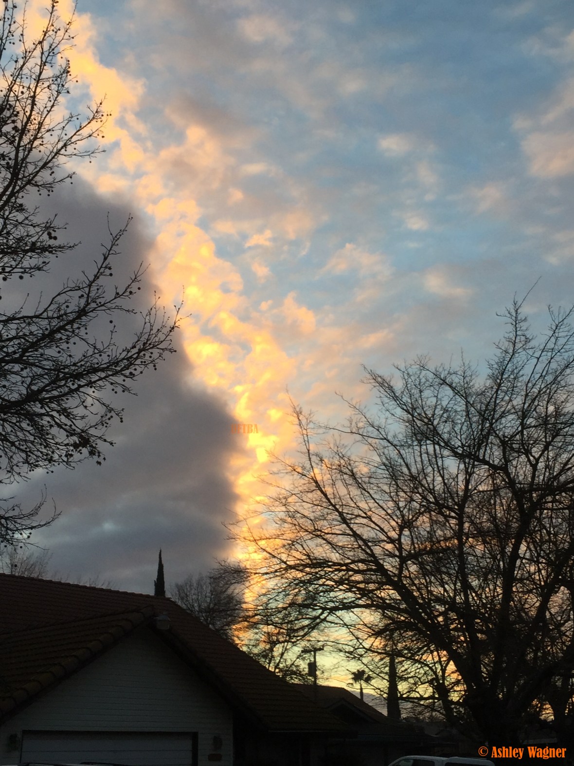 Photo Feb 03, 7 14 59 AM