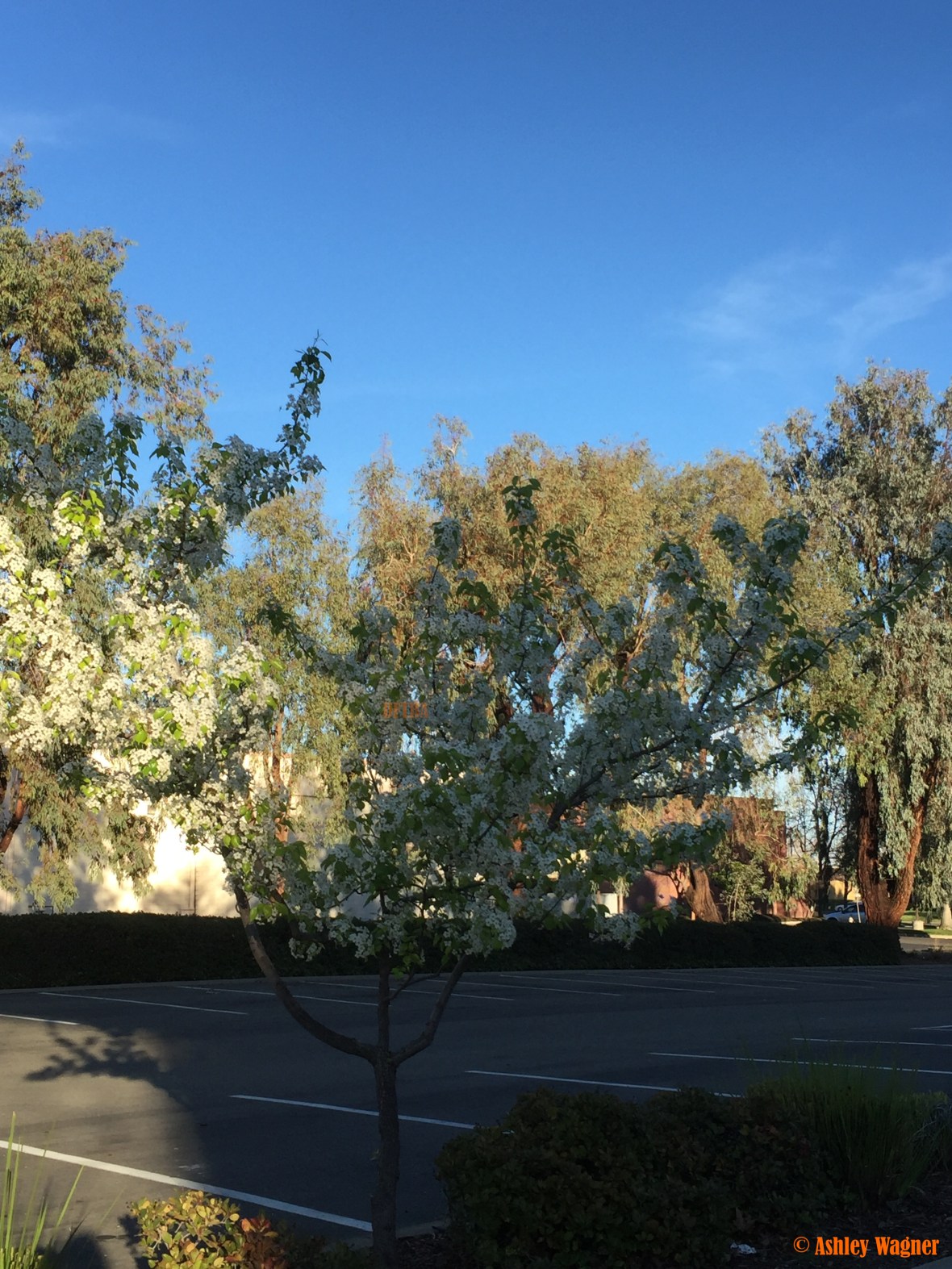 Photo Feb 15, 4 39 26 PM