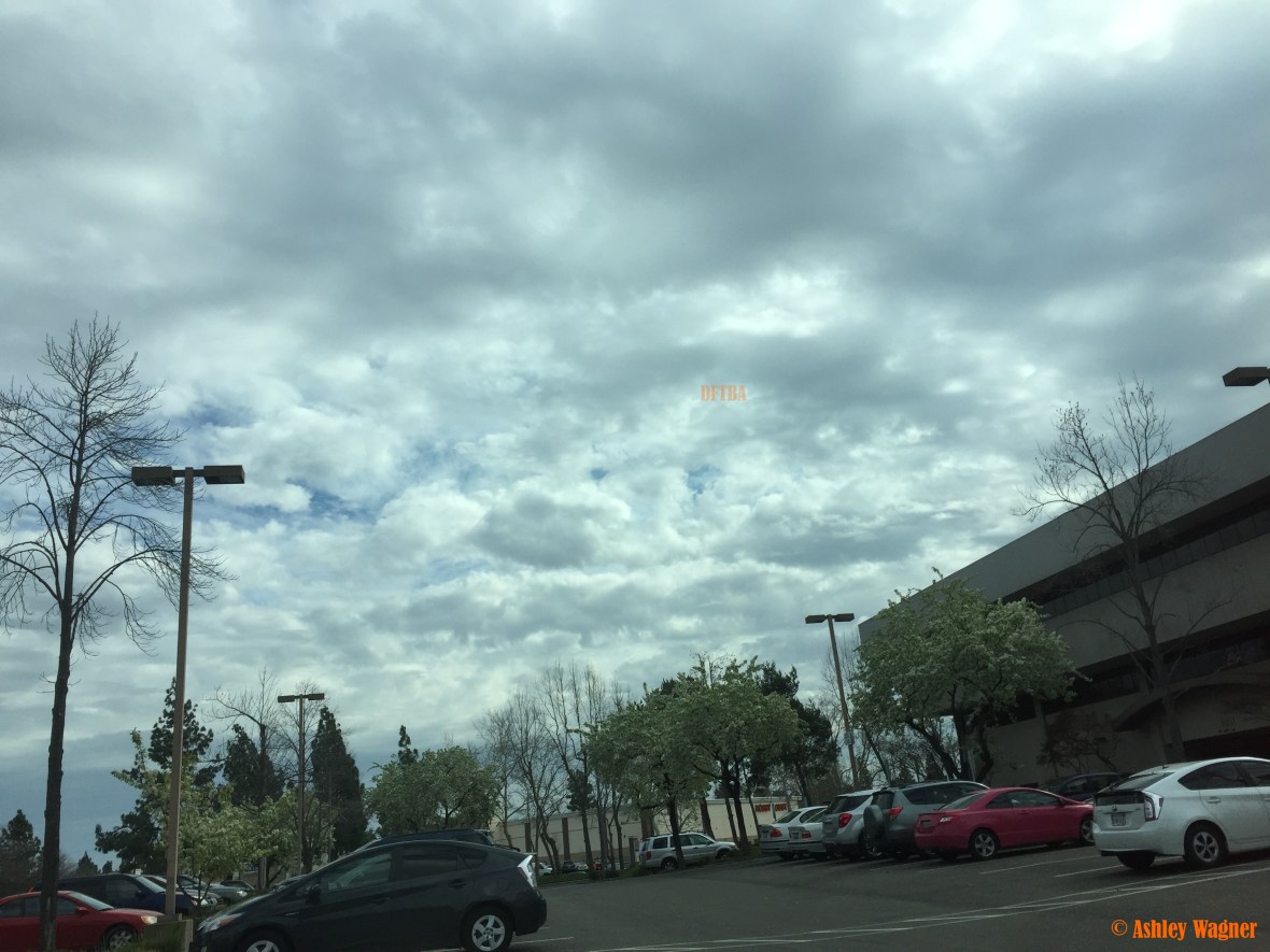 Photo Feb 17, 12 49 19 PM