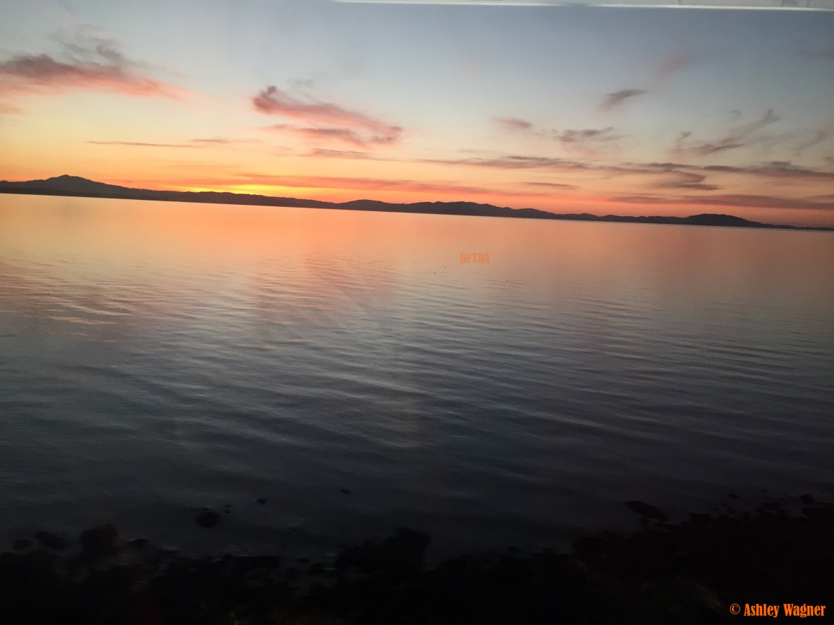 Photo Feb 20, 6 00 52 PM