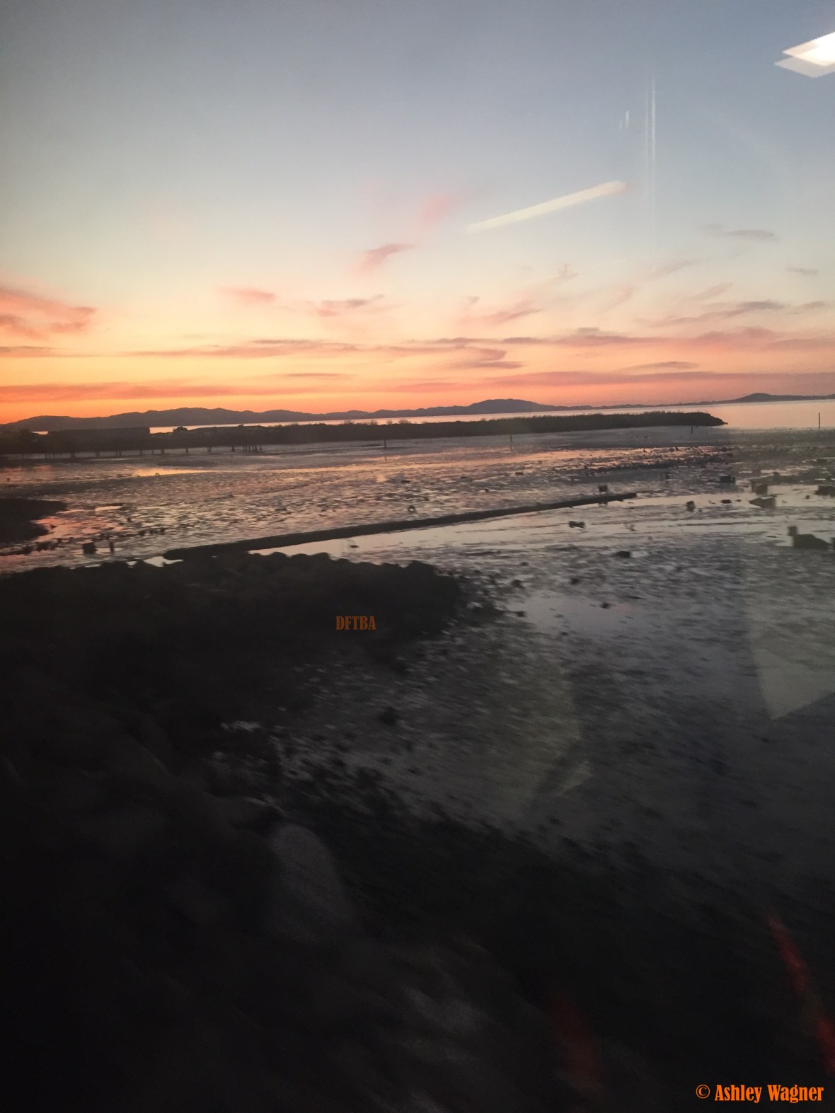 Photo Feb 20, 6 01 40 PM