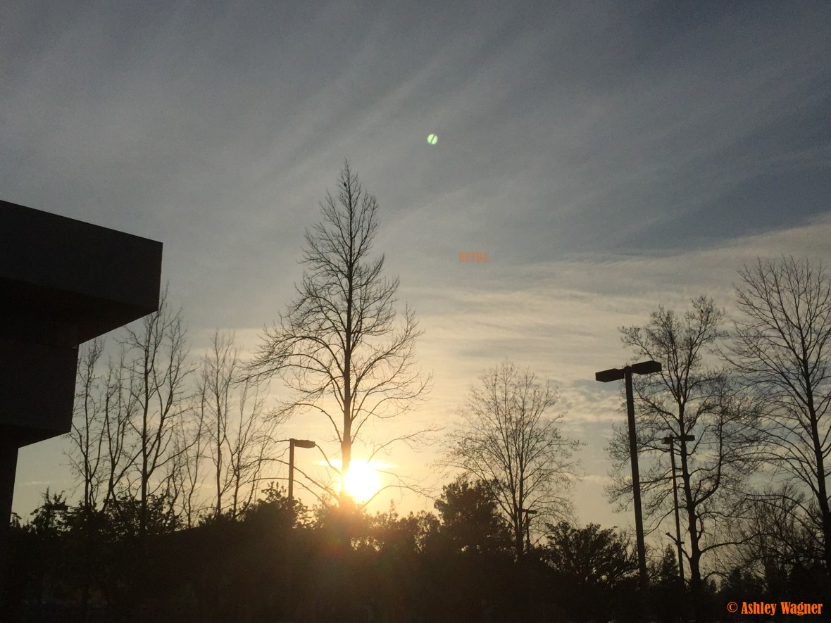 Photo Feb 24, 5 09 32 PM