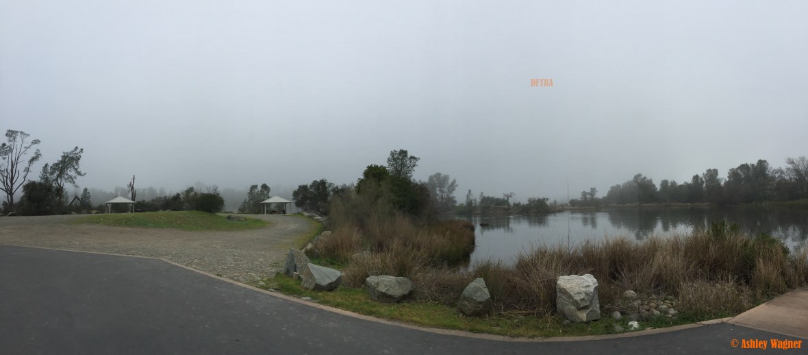 Photo Feb 27, 8 50 26 AM