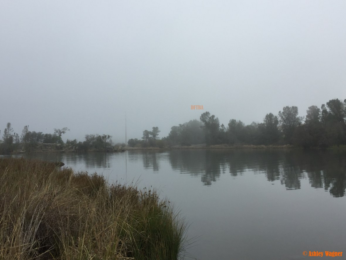 Photo Feb 27, 8 51 08 AM