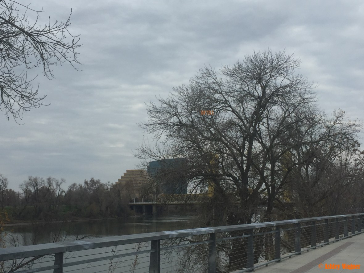 Photo Jan 02, 9 52 24 AM