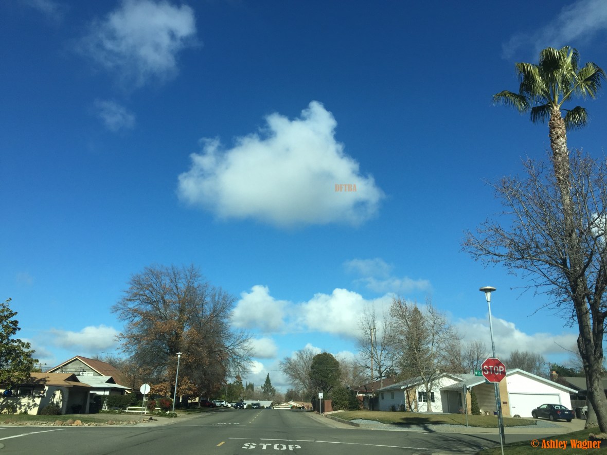 Photo Jan 10, 12 09 43 PM