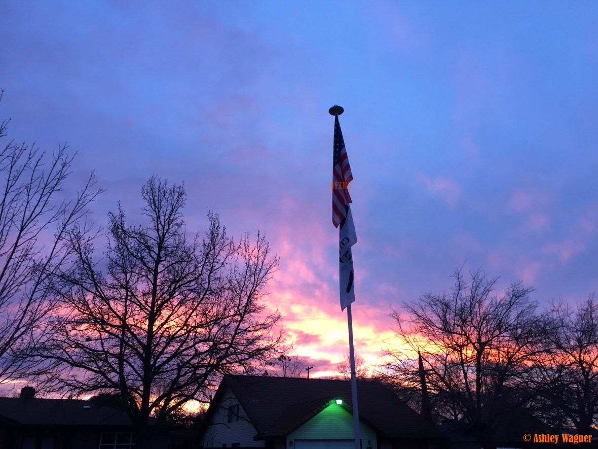 Photo Jan 11, 7 15 14 AM