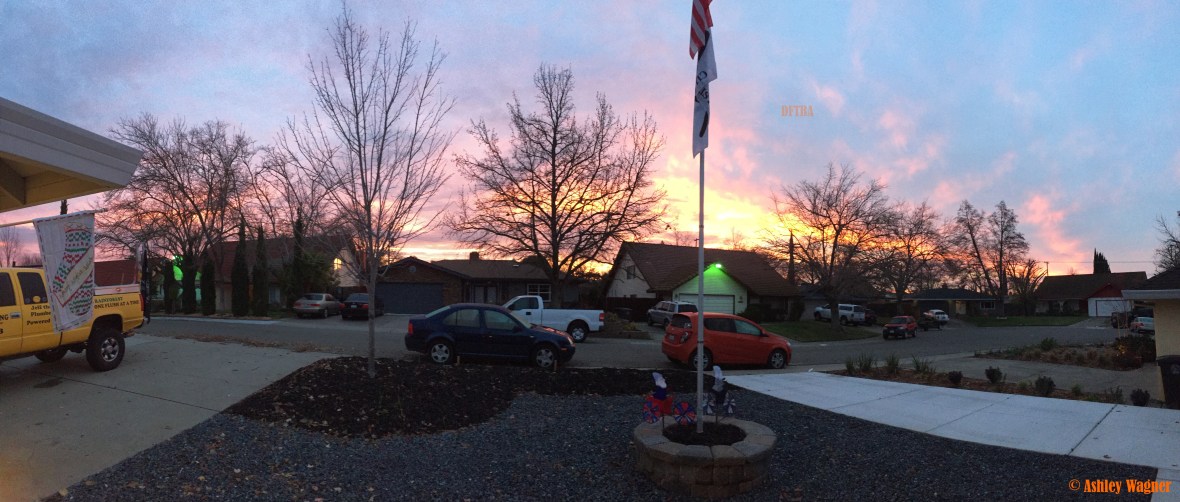 Photo Jan 11, 7 15 32 AM