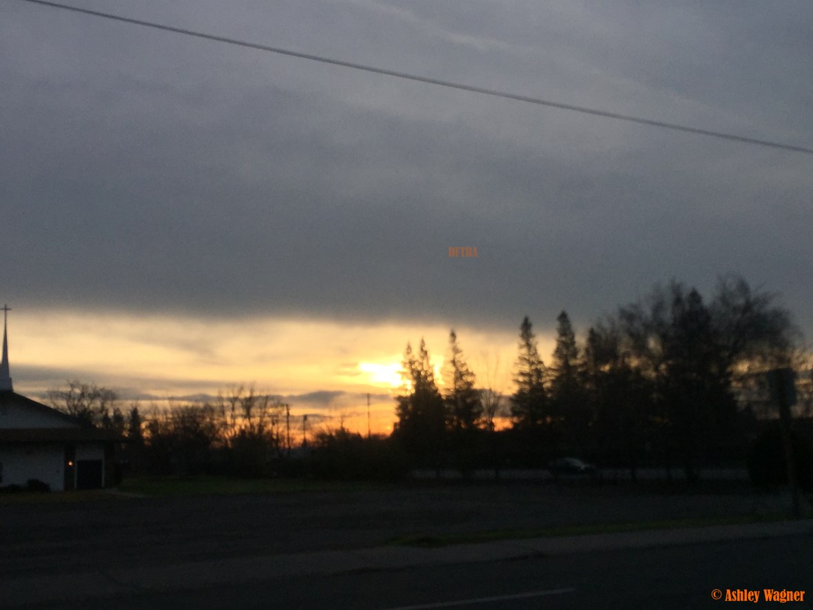 Photo Jan 11, 7 47 49 AM