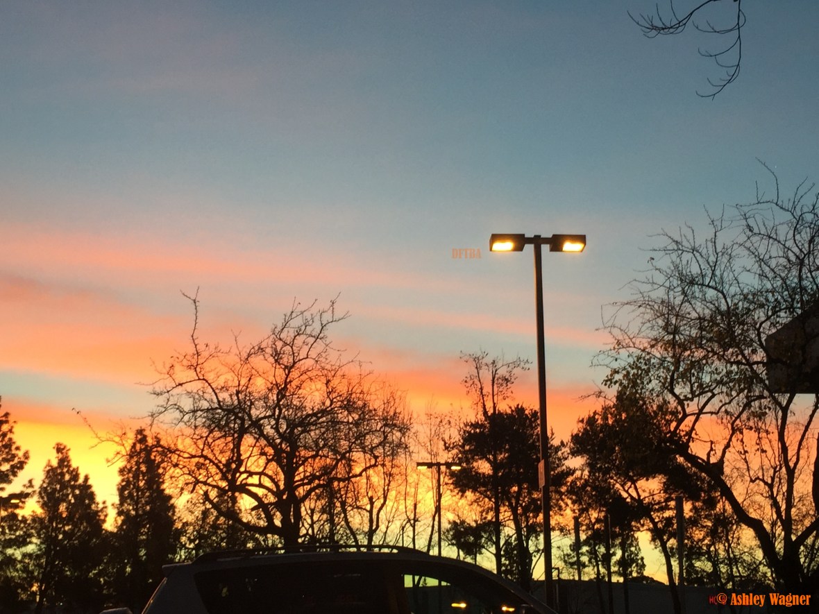 Photo Jan 12, 7 11 12 AM