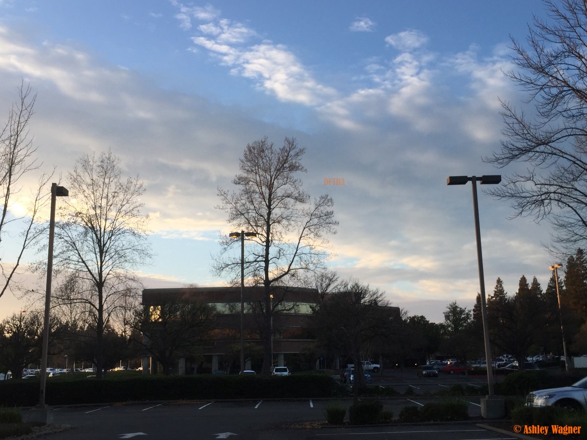 Photo Jan 15, 4 44 04 PM