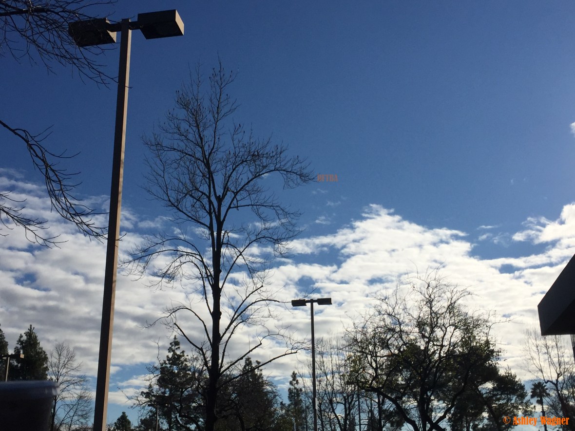 Photo Jan 18, 9 52 49 AM