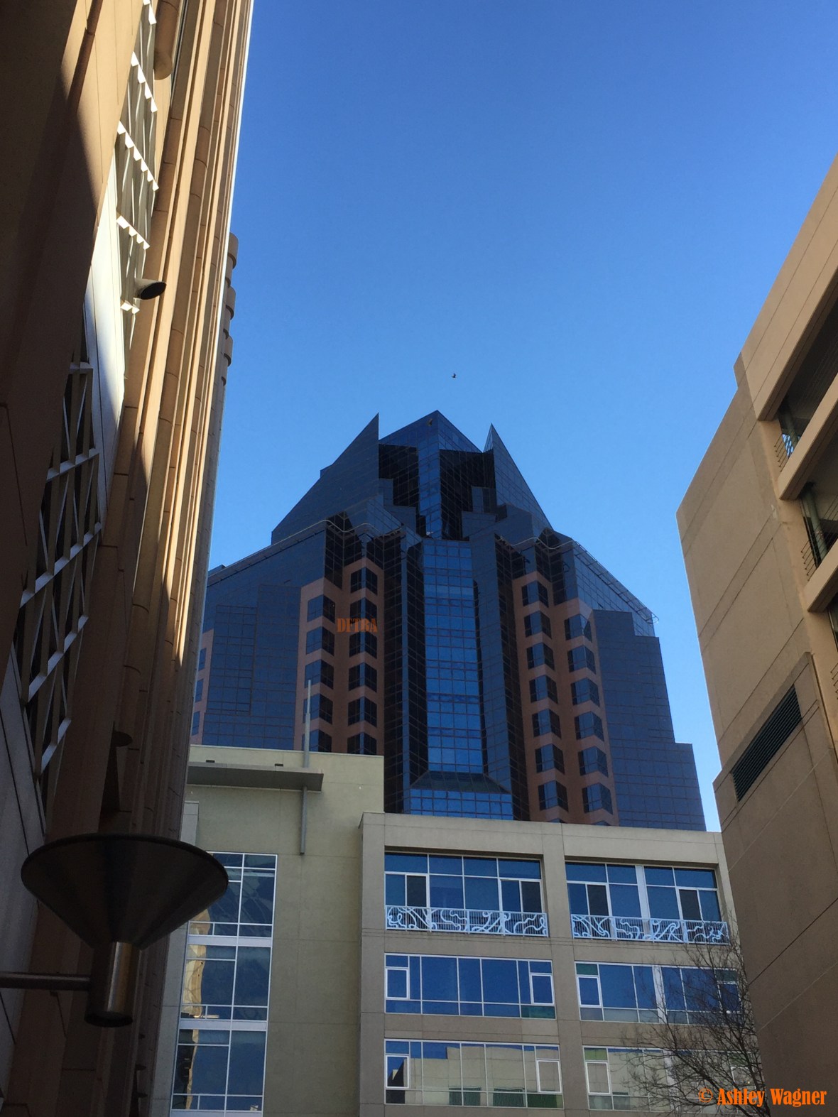 Photo Jan 31, 3 18 58 PM.jpg