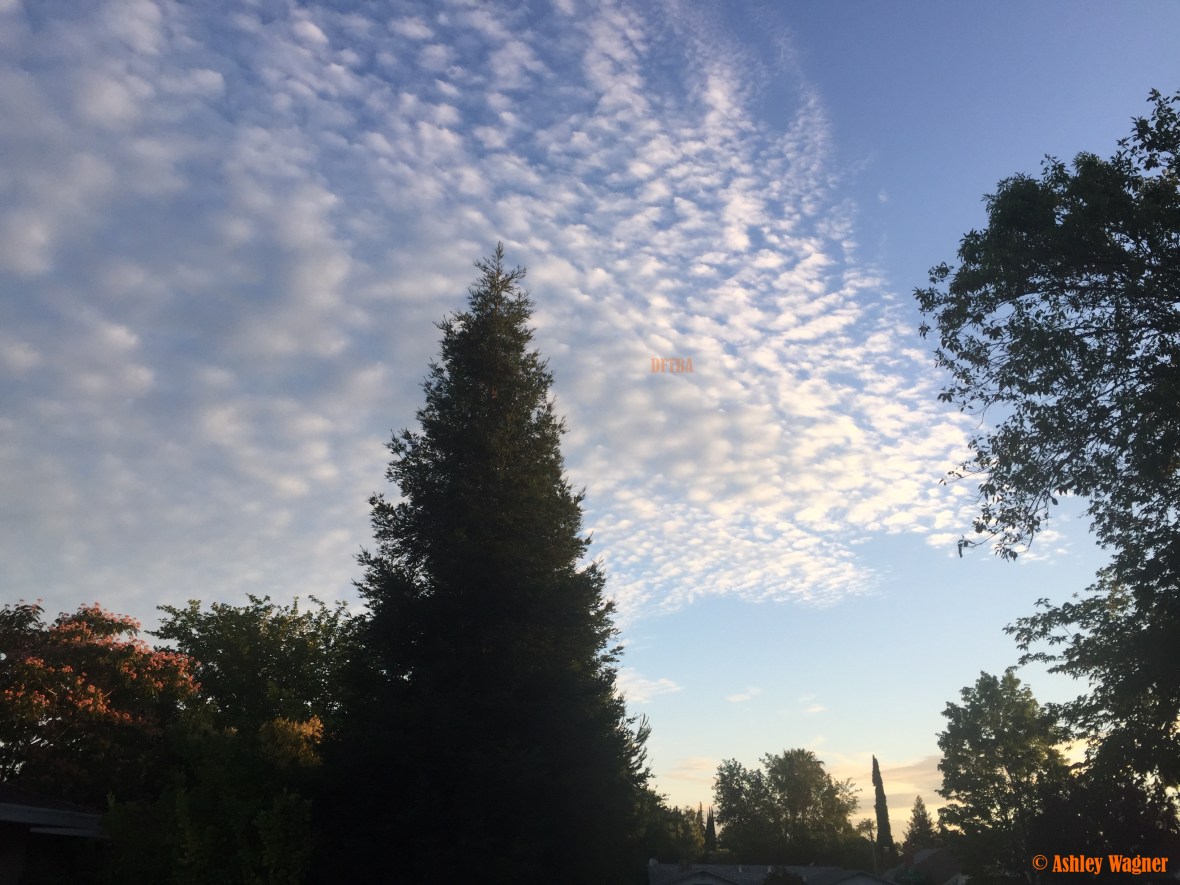 Photo Jun 17, 6 01 04 AM