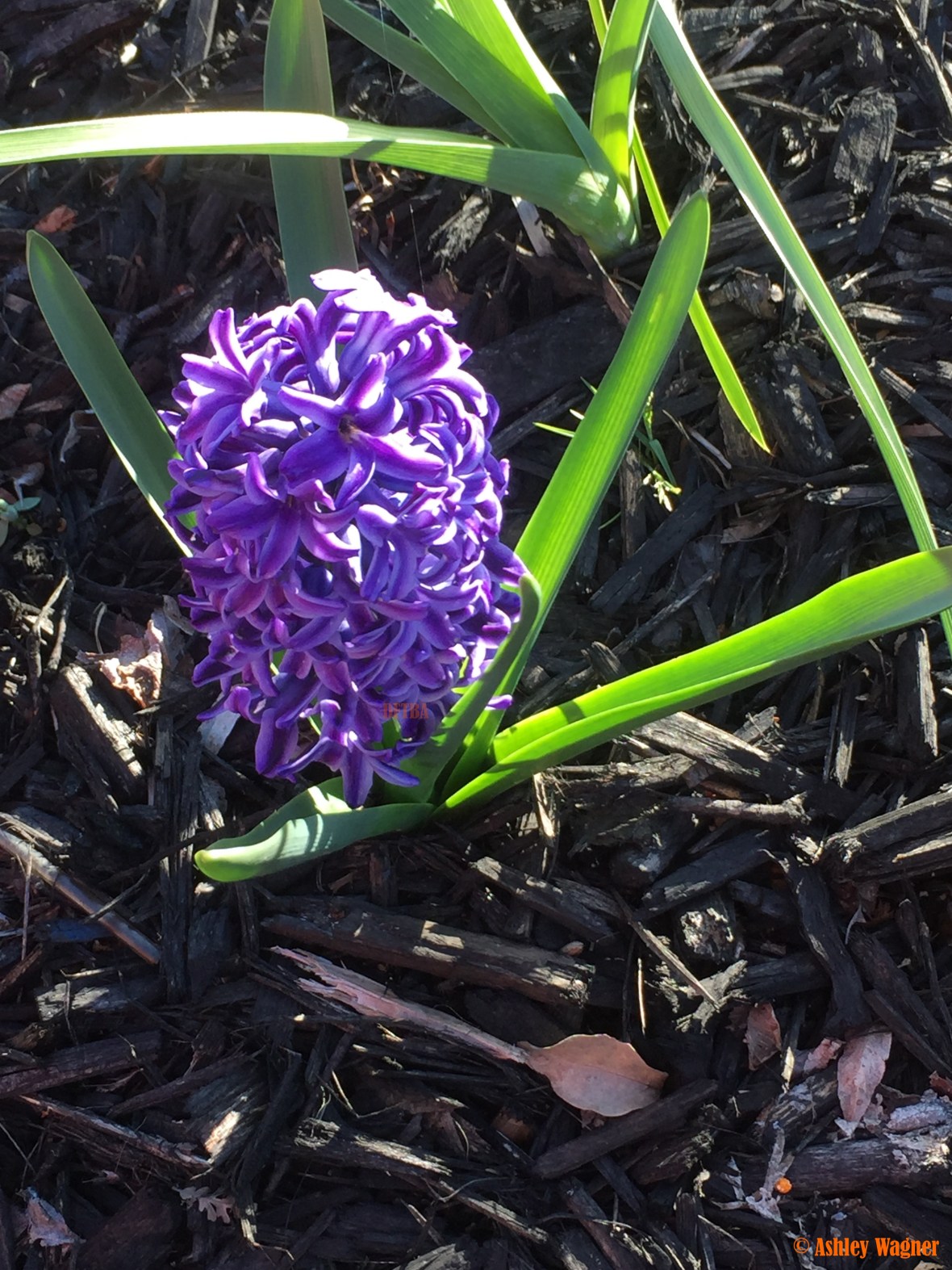 Photo Mar 15, 5 36 01 PM