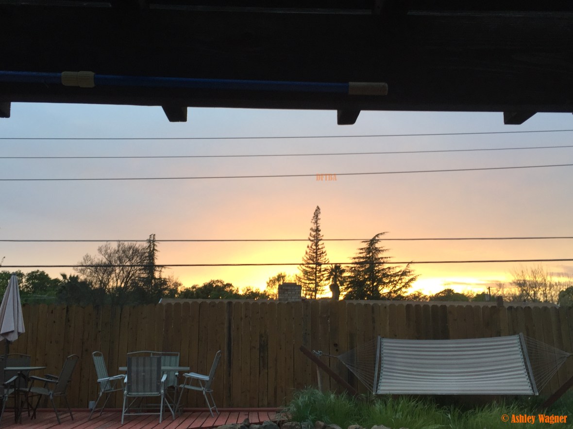 Photo Mar 27, 7 14 27 PM