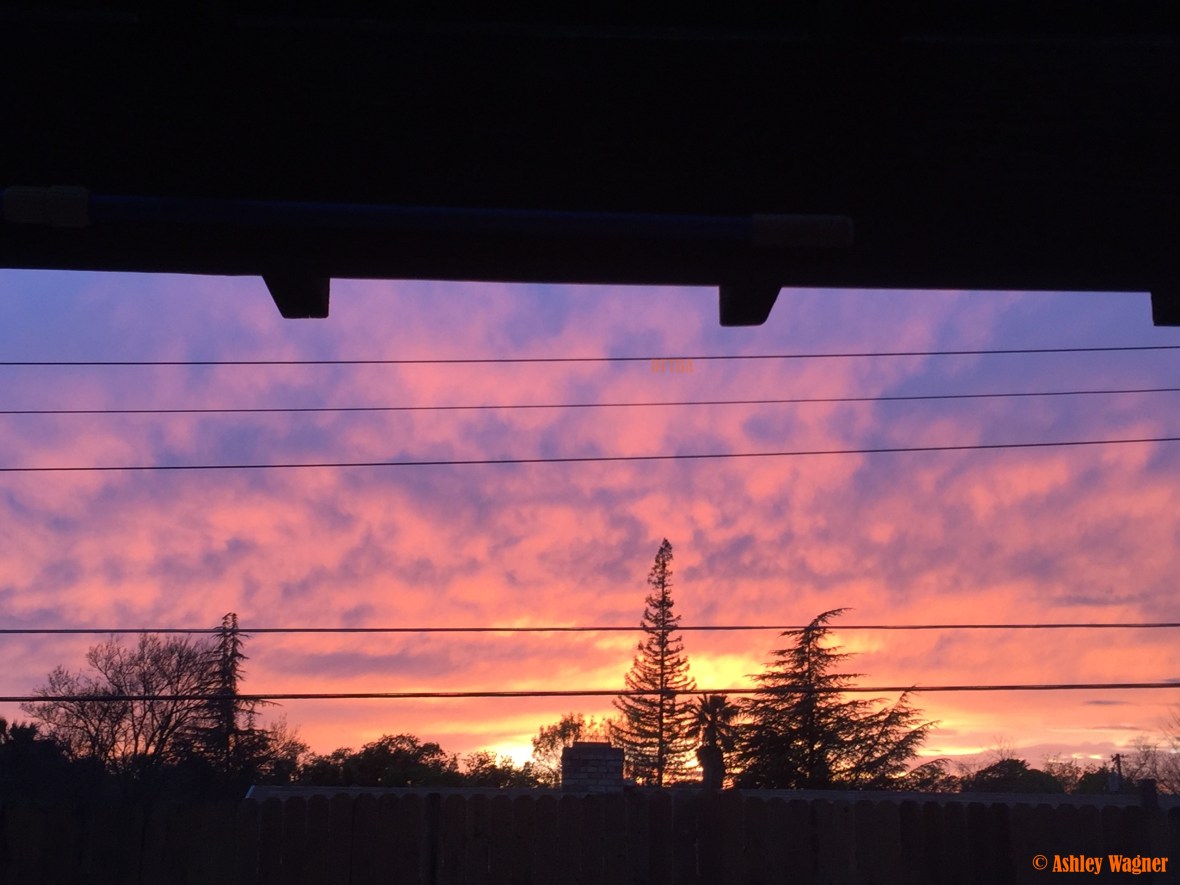 Photo Mar 27, 7 26 47 PM