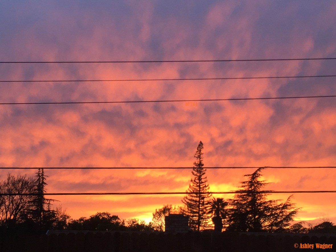 Photo Mar 27, 7 26 55 PM