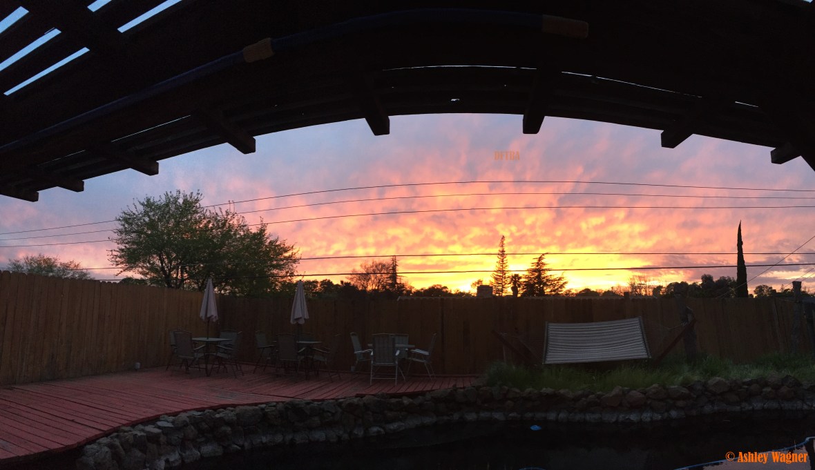 Photo Mar 27, 7 27 08 PM