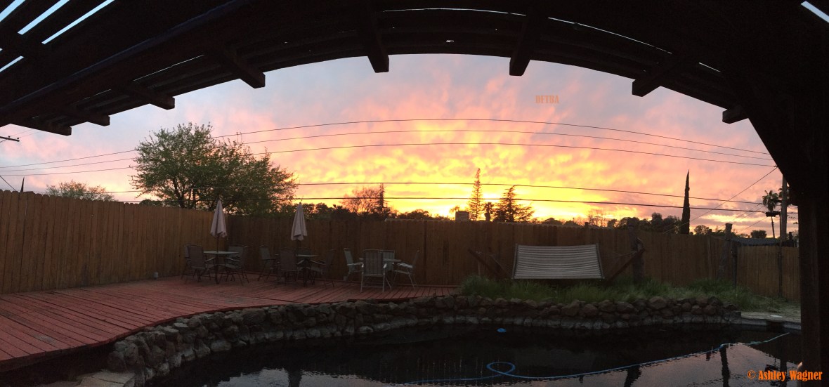 Photo Mar 27, 7 27 17 PM