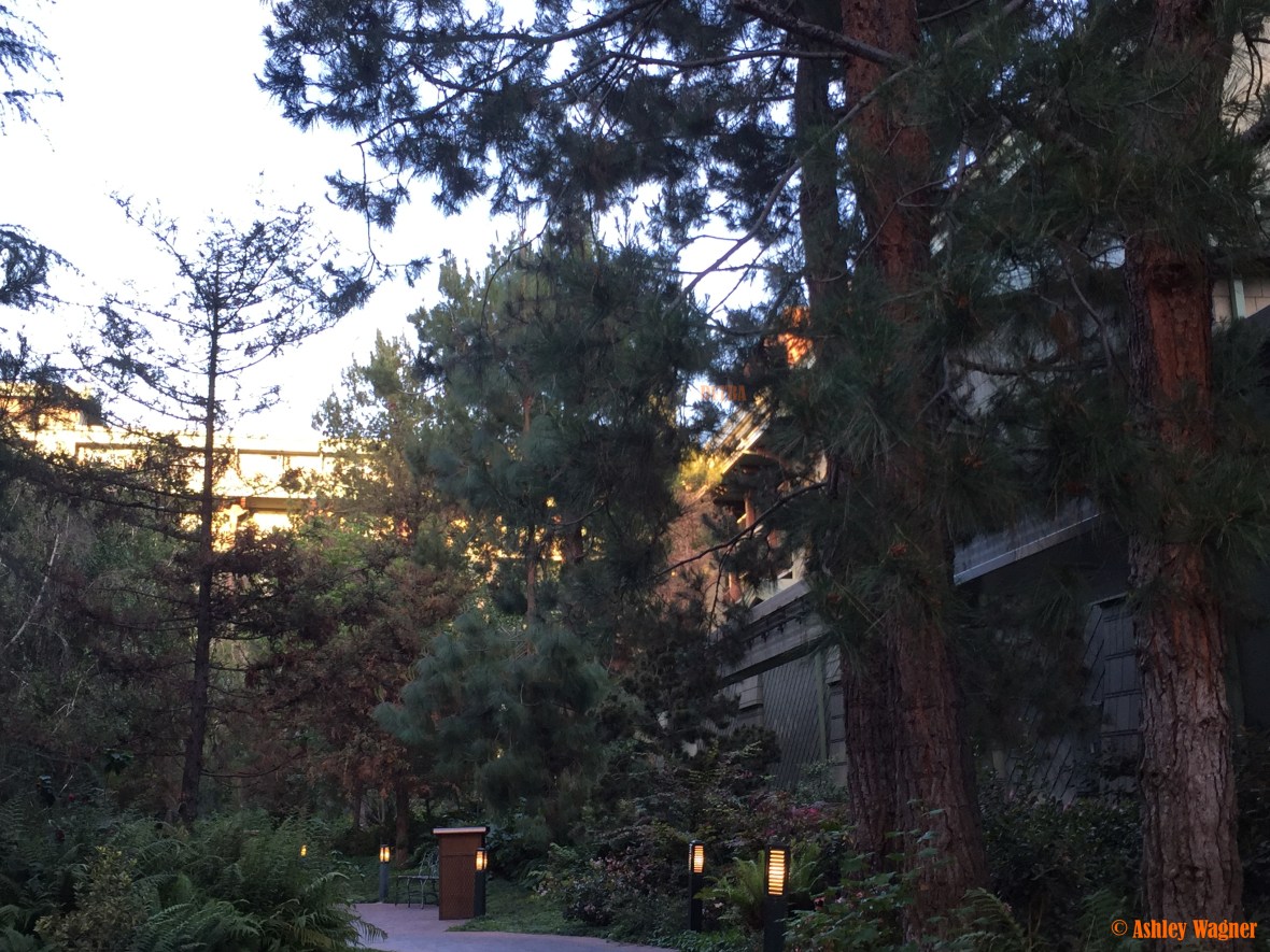 Photo Mar 31, 6 47 39 PM