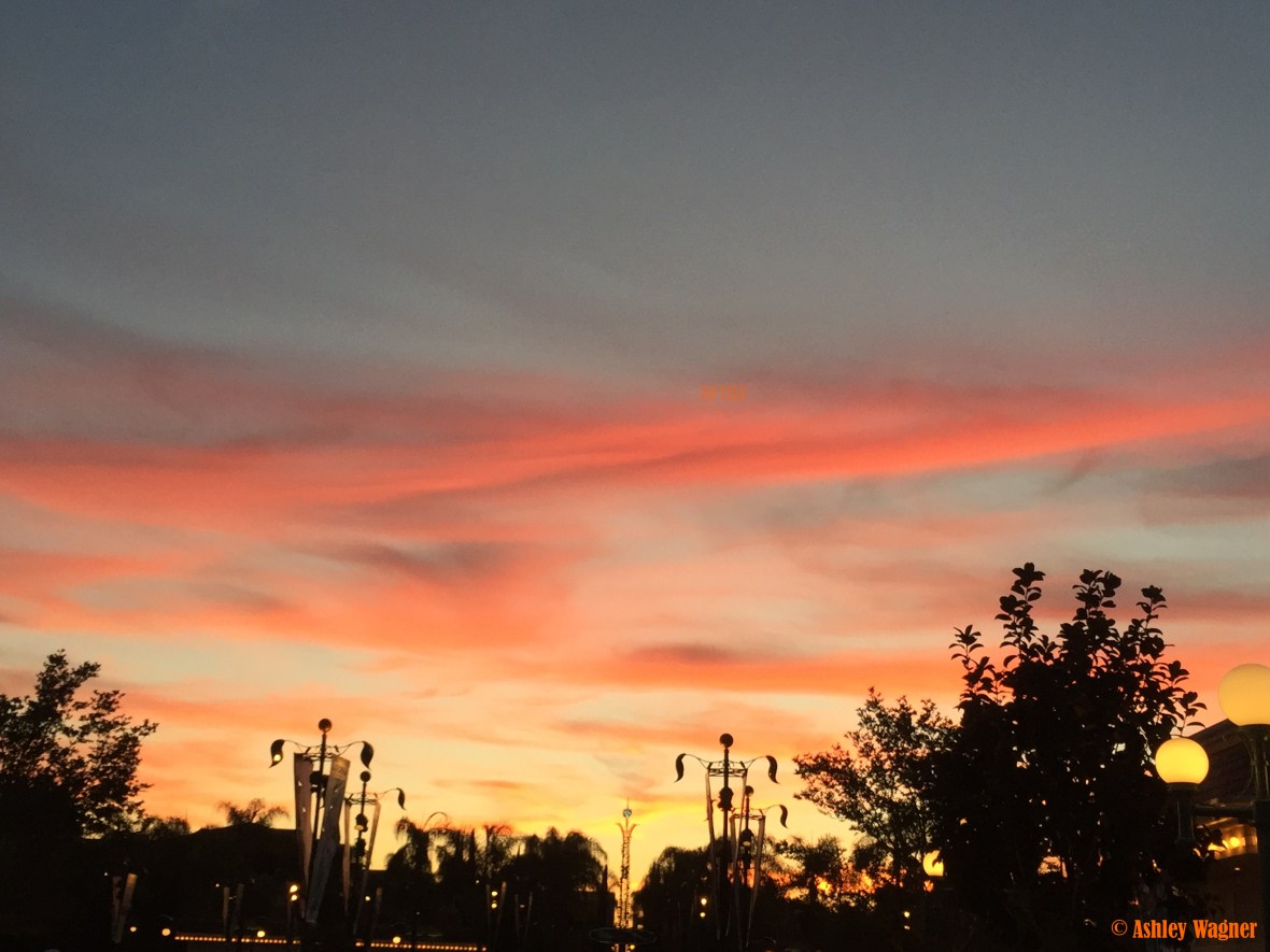 Photo Mar 31, 7 23 31 PM